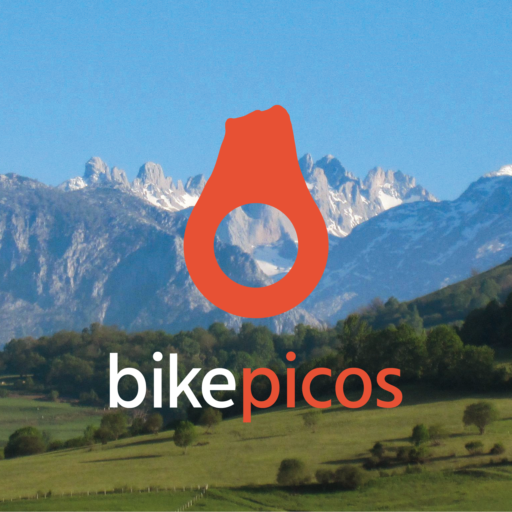 Logo_Picu Logo_Picu