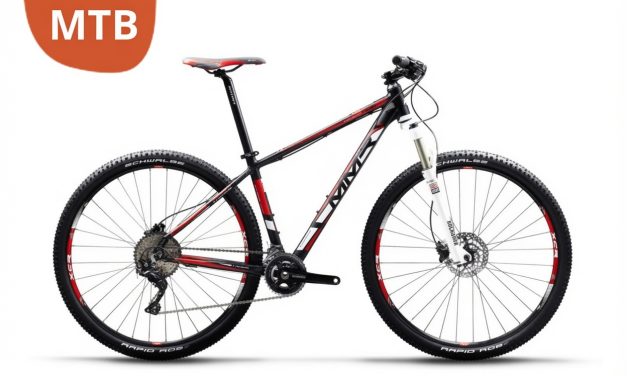 Bicicleta de Montaña: MMR Woki